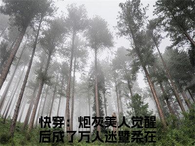 快穿：炮灰美人觉醒后成了万人迷暨柔全集小说完整版大结局-小说快穿：炮灰美人觉醒后成了万人迷暨柔全文完整版免费阅读