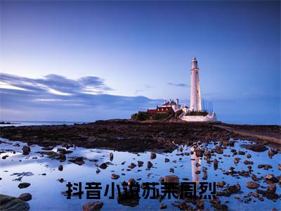 苏茉周烈主角是不孕？改嫁最猛军官三年抱俩全文免费阅读无弹窗-苏茉周烈最新章节列表-笔趣阁