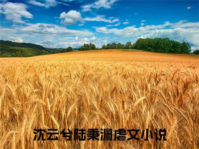 沈云兮陆秉渊（沈云兮陆秉渊 ）全文免费阅读_沈云兮陆秉渊言诺诺，井傅宸 小说最新章节列表笔趣阁