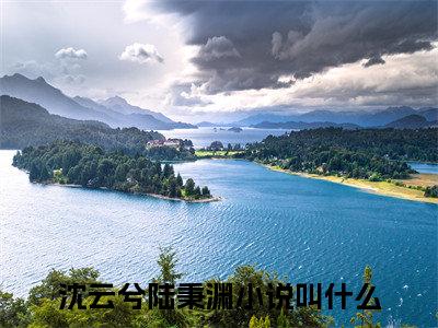 沈云兮陆秉渊最新热门榜单小说 沈云兮陆秉渊在线阅读