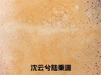 沈云兮陆秉渊无广告小说免费阅读，沈云兮陆秉渊完结小说在线阅读