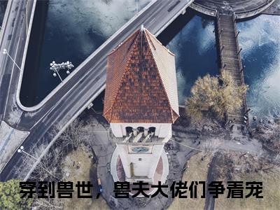 穿到兽世，兽夫大佬们争着宠是什么小说-冷月汐熤成全文免费阅读无弹窗大结局（穿到兽世，兽夫大佬们争着宠）最新章节阅读