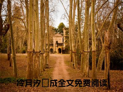 穿到兽世，兽夫大佬们争着宠在线阅读（冷月汐熤成）全文免费阅读无弹窗大结局
