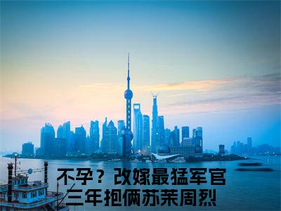 不孕？改嫁最猛军官三年抱俩苏茉周烈全文小说全章节阅读