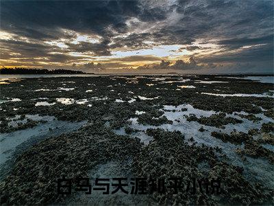 白马与天涯（杜瑞通）全文免费阅读无弹窗大结局_杜瑞通全文在线阅读