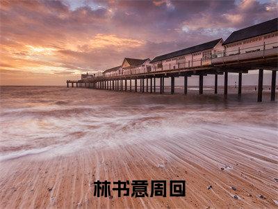 林书意周回是哪部小说的主角，林书意周回免费阅读全文大结局