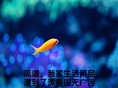 离谱，我家生活用品漂到了漂亮国（方尘蓝星）小说全文-离谱，我家生活用品漂到了漂亮国无弹窗免费阅读