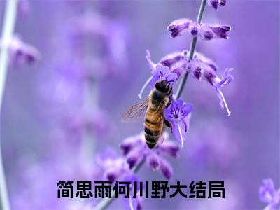 高赞小说（简思雨何川野）完结阅读_简思雨何川野全文完整版免费阅读最新章节列表