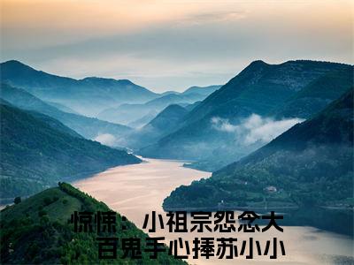 惊悚：小祖宗怨念大，百鬼手心捧苏小小（惊悚：小祖宗怨念大，百鬼手心捧苏小小）全文免费阅读无弹窗大结局_惊悚：小祖宗怨念大，百鬼手心捧苏小小最新章节列表_笔趣阁（惊悚：小祖宗怨念大，百鬼手心捧苏小小）