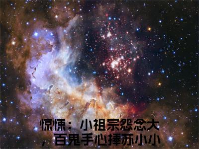 惊悚：小祖宗怨念大，百鬼手心捧苏小小全文免费阅读无弹窗大结局_惊悚：小祖宗怨念大，百鬼手心捧苏小小全文免费无弹窗最新章节列表_笔趣阁