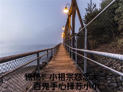 惊悚：小祖宗怨念大，百鬼手心捧苏小小（惊悚：小祖宗怨念大，百鬼手心捧苏小小）全文免费阅读无弹窗大结局_惊悚：小祖宗怨念大，百鬼手心捧苏小小最新章节列表（惊悚：小祖宗怨念大，百鬼手心捧苏小小）