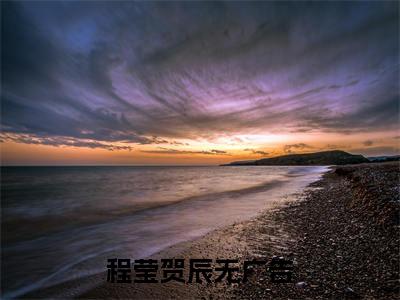 程莹贺辰（程莹贺辰）小说全文免费阅读正版无弹窗_(程莹贺辰)最新章节列表