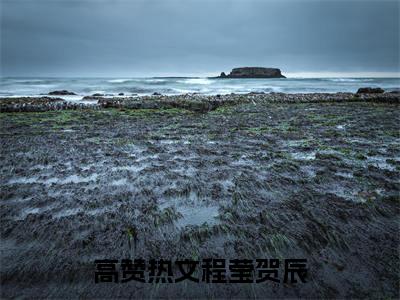 程莹贺辰(程莹贺辰)全文免费阅读无弹窗大结局_(程莹贺辰免费阅读全文大结局)最新章节列表