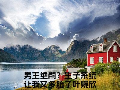 男主绝嗣？生子系统让我又多胎了叶婉欣全文免费阅读无弹窗大结局_男主绝嗣？生子系统让我又多胎了叶婉欣(男主绝嗣？生子系统让我又多胎了叶婉欣)最新章节列表_笔趣阁