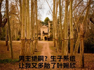 男主绝嗣？生子系统让我又多胎了叶婉欣完整版最新小说大结局-男主绝嗣？生子系统让我又多胎了叶婉欣无删版阅读