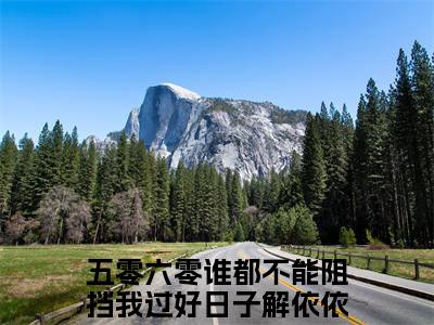 五零六零谁都不能阻挡我过好日子解依依小说免费在线阅读无弹窗-主角是五零六零谁都不能阻挡我过好日子解依依的小说