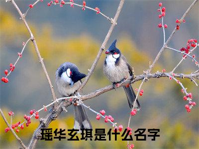 瑶华玄琪（瑶华玄琪）全文在线阅读无弹窗大结局_（瑶华玄琪）瑶华玄琪最新章节列表_笔趣阁（瑶华玄琪）