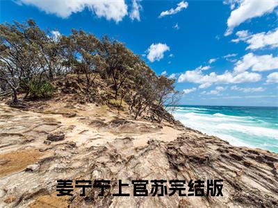 姜宁宁上官苏（世子妃重生，战神沦为裙下臣）全文免费阅读无弹窗大结局-姜宁宁上官苏最新章节列表-笔趣阁