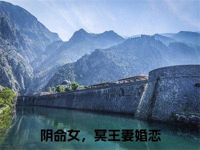 宋栖秦珏（阴命女，冥王妻）小说全文免费阅读正版无弹窗_（阴命女，冥王妻）免费阅读无弹窗最新章节列表