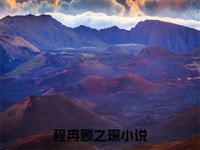 程冉顾之琛小说全文（程冉顾之琛）全文免费阅读无弹窗大结局_程冉顾之琛小说全文最新章节列表