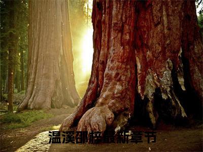 温溪邵梓小说免费阅读-温溪邵梓全文小说全章节阅读