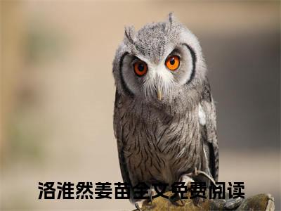 洛淮然姜苗全文免费阅读无弹窗大结局-洛淮然姜苗无弹窗阅读