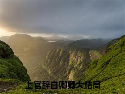 上官辞白卿卿（上官辞白卿卿全文免费阅读）小说最新章节_上官辞白卿卿全文免费阅读最新章节列表_笔趣阁