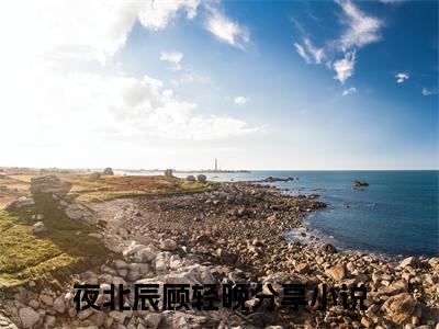 （夜北辰顾轻晚）小说全文免费阅读-微小说（夜北辰顾轻晚）完整版阅读