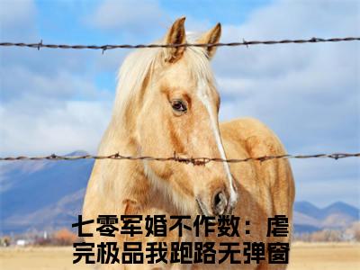简袅袅全文（七零军婚不作数：虐完极品我跑路）全文免费阅读无弹窗大结局_七零军婚不作数：虐完极品我跑路免费最新章节列表_笔趣阁（简袅袅）