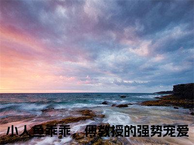 小人鱼乖乖，傅教授的强势宠爱全文（伽浅傅严琛）全文免费阅读无弹窗大结局_伽浅傅严琛免费最新章节列表_笔趣阁