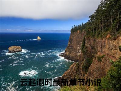 云起谢时小说最新章节（云起谢时全文免费）小说全集无弹窗大结局_云起谢时最新章节列表_笔趣阁（云起谢时）