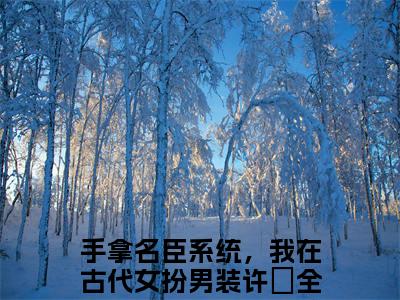手拿名臣系统，我在古代女扮男装许玥全文免费阅读无弹窗大结局-手拿名臣系统，我在古代女扮男装许玥全文在线阅读最新章节列表_笔趣阁