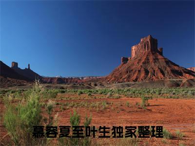 慕容夏至叶生（慕容夏至叶生）全文免费阅读无弹窗大结局_慕容夏至叶生最新章节列表_笔趣阁（慕容夏至叶生）