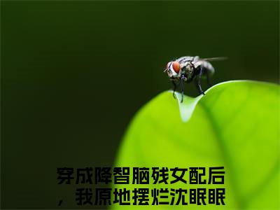 穿成降智脑残女配后，我原地摆烂沈眠眠（穿成降智脑残女配后，我原地摆烂沈眠眠）全文免费阅读无弹窗大结局_(穿成降智脑残女配后，我原地摆烂沈眠眠免费阅读)最新章节列表_笔趣阁