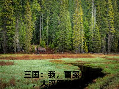 三国：我，曹家长子，大汉慈父曹昂小说（三国：我，曹家长子，大汉慈父曹昂）全文免费阅读无弹窗大结局_三国：我，曹家长子，大汉慈父曹昂最新章节列表_笔趣阁