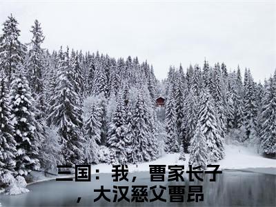 三国：我，曹家长子，大汉慈父曹昂（三国：我，曹家长子，大汉慈父曹昂）小说完整版阅读-小说三国：我，曹家长子，大汉慈父曹昂全文免费阅读
