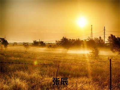 张辰小说全文免费阅读无弹窗大结局-长安有神仙免费阅读无弹窗