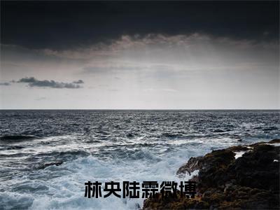 林央陆霖言情小说免费观看-小说(林央陆霖)最新章节阅读在线赏析