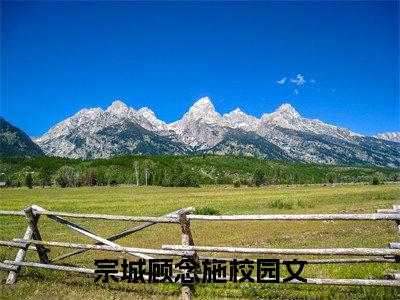 宗城顾念施小说_宗城顾念施全文阅读 宗城顾念施小说免费阅读笔趣阁