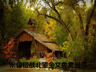 宋惜惜战北望桃花马上请长缨全文阅读宋惜惜战北望免费阅读无弹窗