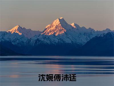 沈婉傅沛廷全文阅读 沈婉傅沛廷小说最新章节