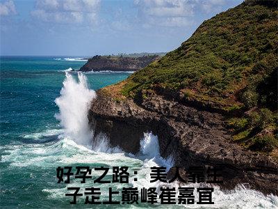 好孕之路：美人靠生子走上巅峰崔嘉宜全文阅读 好孕之路：美人靠生子走上巅峰崔嘉宜免费阅读无弹窗