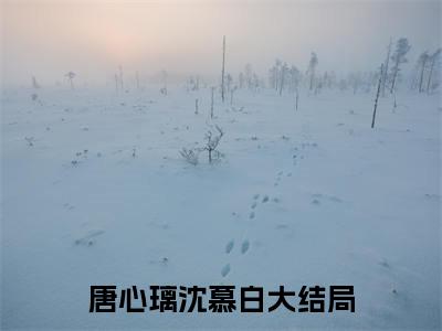 唐心璃沈慕白（唐心璃沈慕白)小说免费阅读在线阅读_唐心璃沈慕白全文免费阅读_笔趣阁
