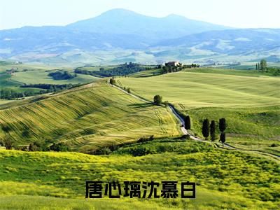 唐心璃沈慕白（唐心璃沈慕白）高收藏小说在线阅读-唐心璃沈慕白阅读结局