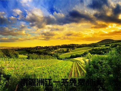 热文（谢曜洲江一茶）美文阅读_热门小说主人公是（谢曜洲江一茶）最新章节限时观看_笔趣阁