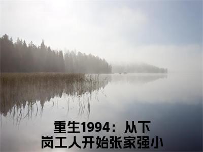 重生1994：从下岗工人开始张家强小说全文免费阅读 （重生1994：从下岗工人开始张家强）免费阅读全文免费阅读无弹窗大结局