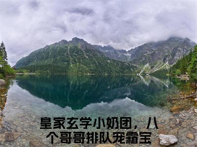 皇家玄学小奶团，八个哥哥排队宠霜宝无广告小说正版在线阅读，皇家玄学小奶团，八个哥哥排队宠霜宝全文在线阅读大结局
