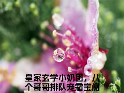 皇家玄学小奶团，八个哥哥排队宠霜宝（皇家玄学小奶团，八个哥哥排队宠霜宝）小说免费阅读-（皇家玄学小奶团，八个哥哥排队宠霜宝）抖音新书热荐
