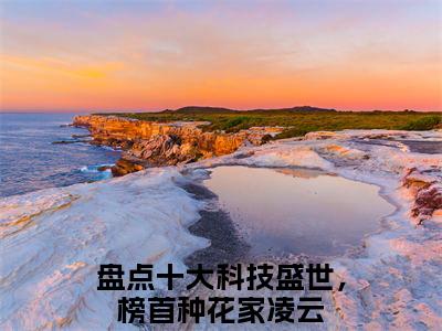 盘点十大科技盛世，榜首种花家凌云的小说全文免费阅读无弹窗，主角名字是：盘点十大科技盛世，榜首种花家凌云的小说在线免费阅读大结局