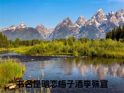 暗恋梅子酒李殊宜(暗恋梅子酒李殊宜)最新章节在线阅读-暗恋梅子酒李殊宜已完结全集大结局小说
